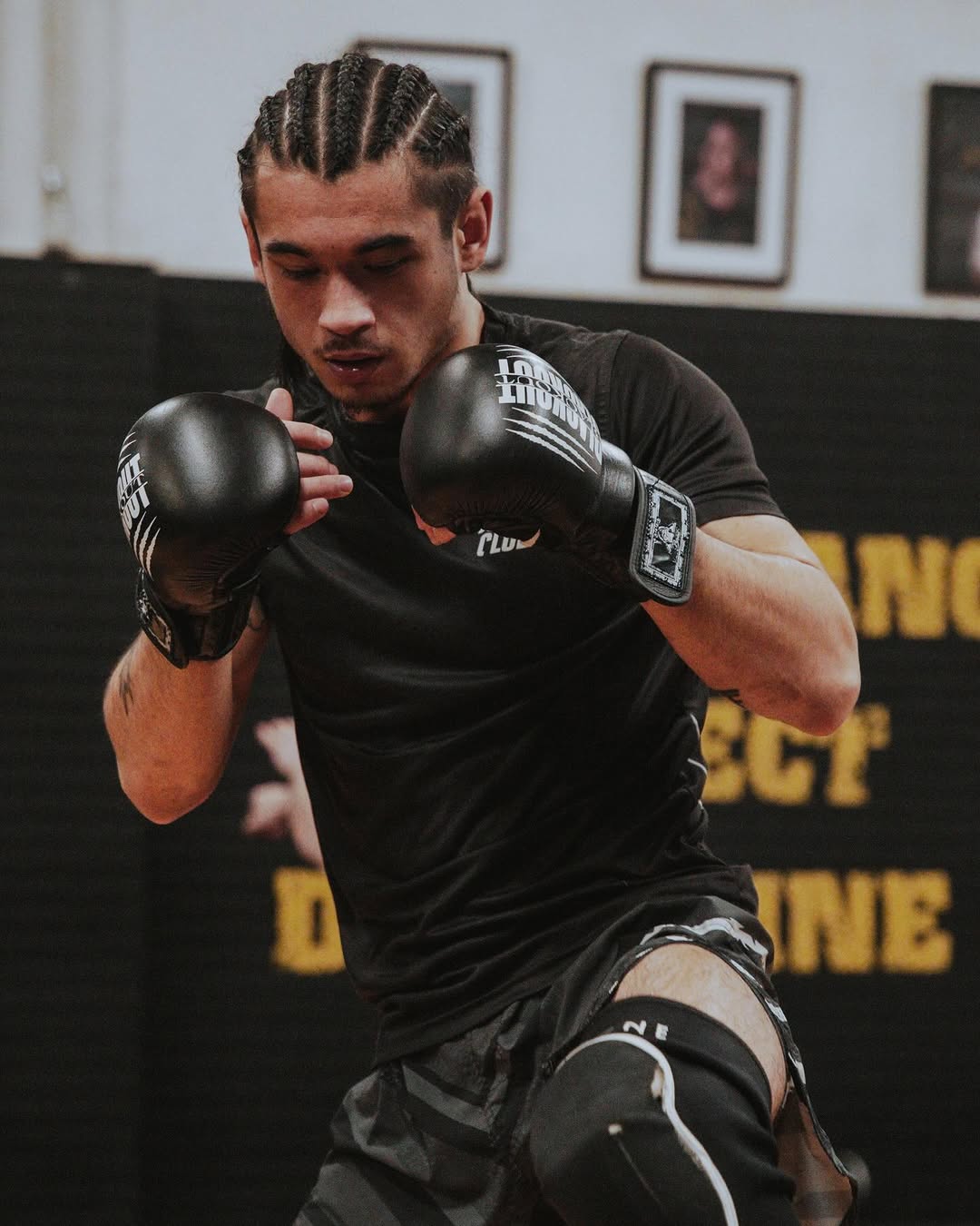 Expertise Accessible