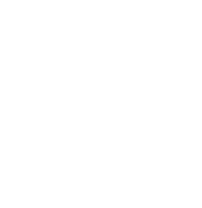 DUEL Stages